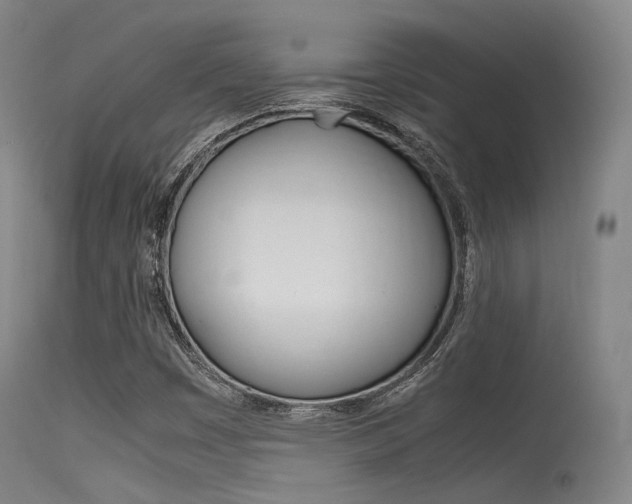 X0000115621449200911101045