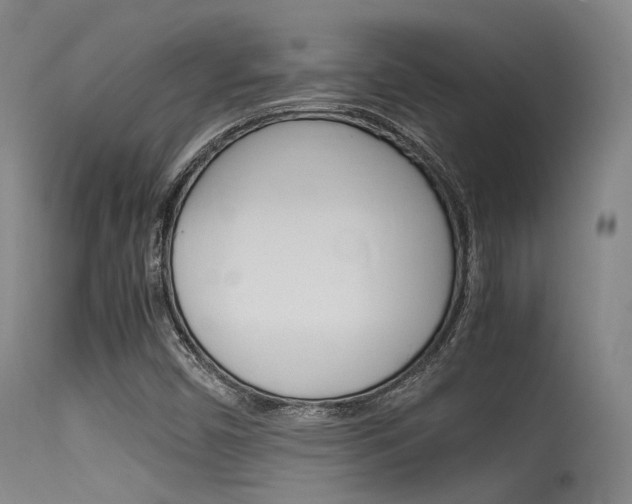 X0000115621450200911101045