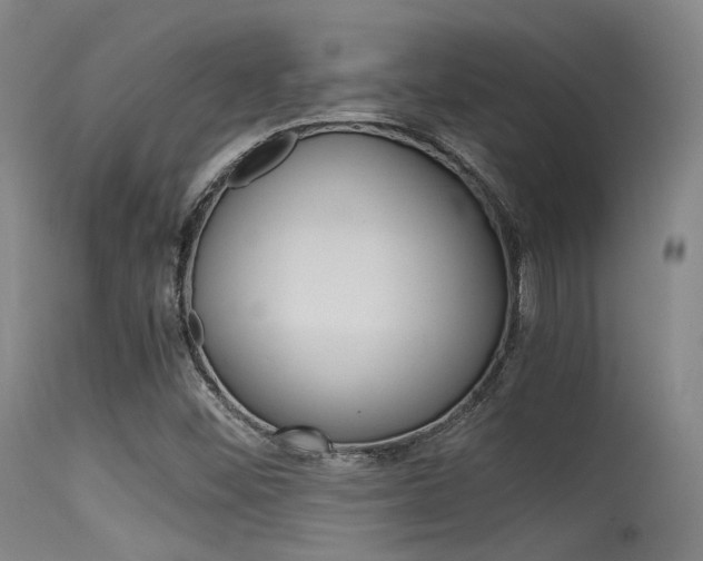 X0000115621452200911101045