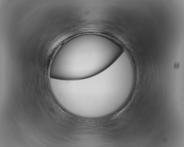 X0000115621453200911101045