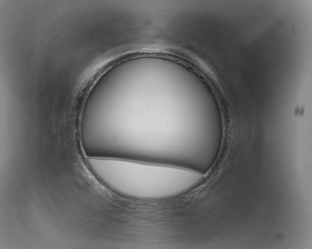 X0000115621456200911101045