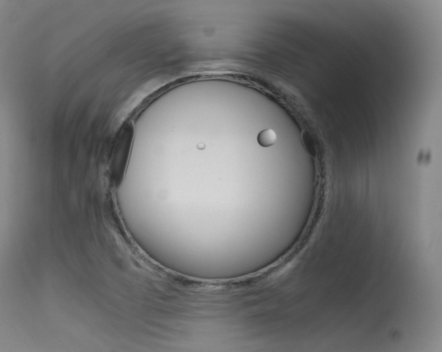 X0000115621457200911101045