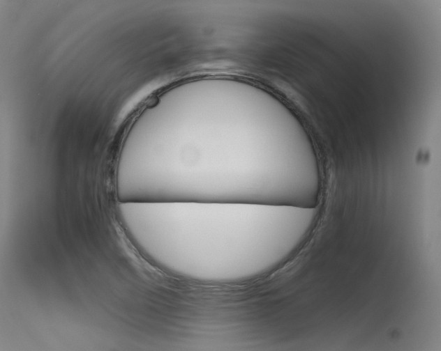 X0000115621458200911101045