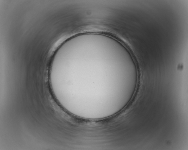 X0000115621459200911101045