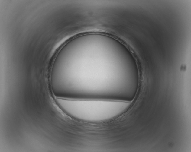 X0000115621460200911101045