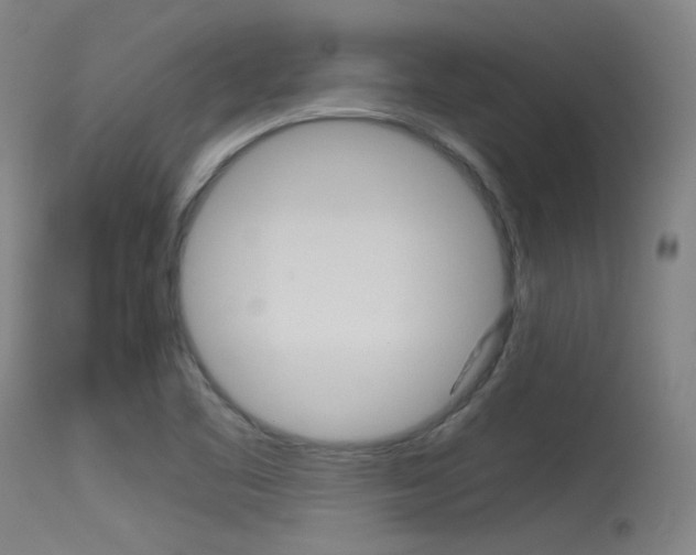 X0000115621461200911101045