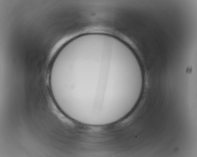 X0000115621462200911101045