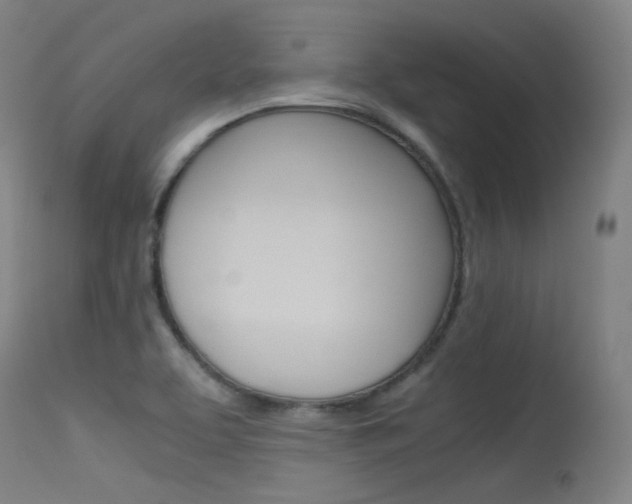 X0000115621463200911101045