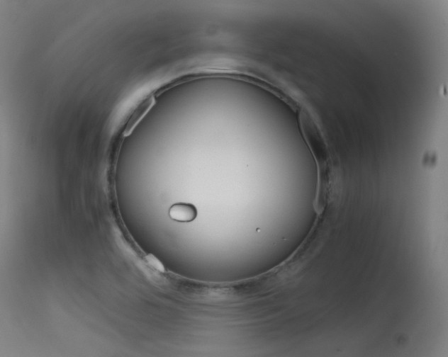 X0000115621464200911101045