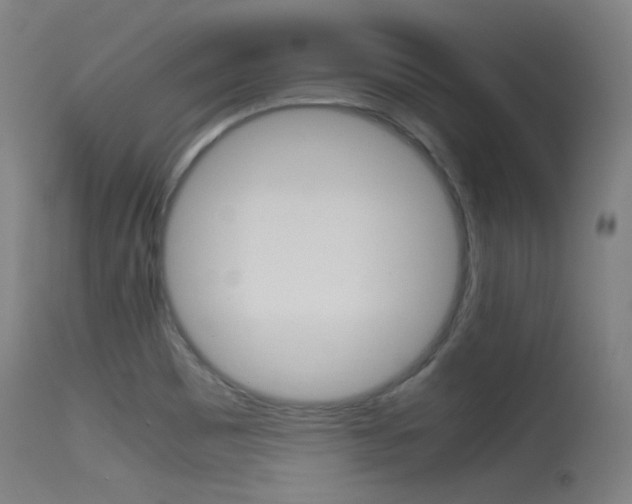 X0000115621465200911101045