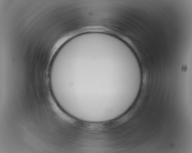 X0000115621466200911101045