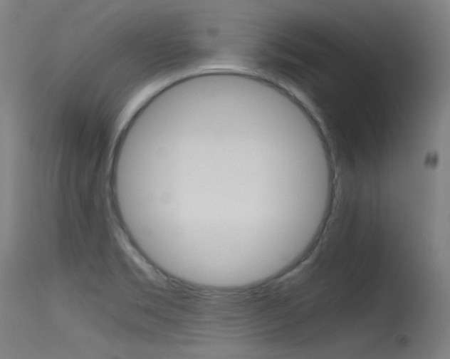 X0000115621469200911101045