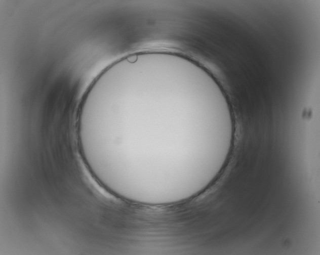 X0000115621470200911101045