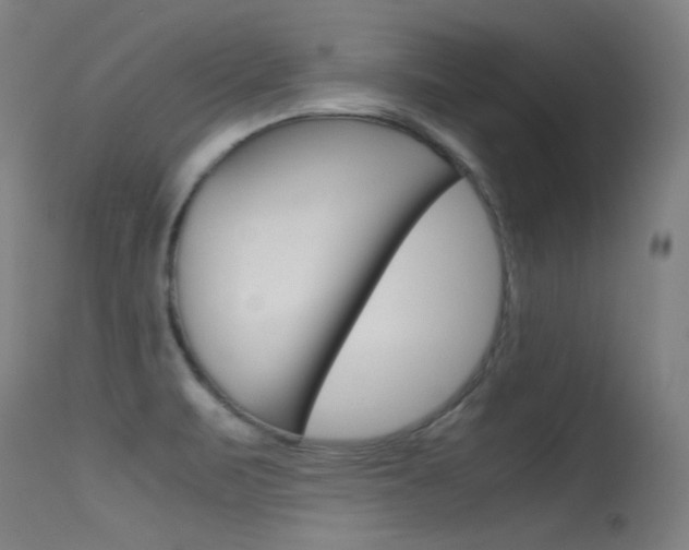 X0000115621471200911101045