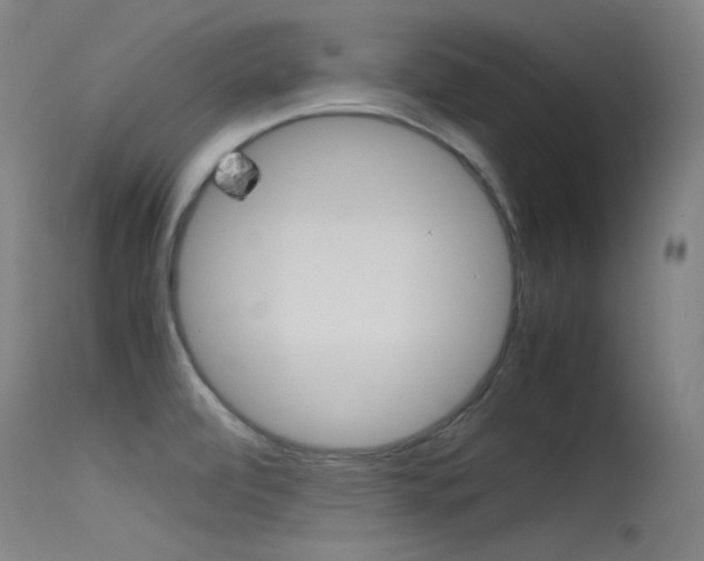 X0000115621472200911101045