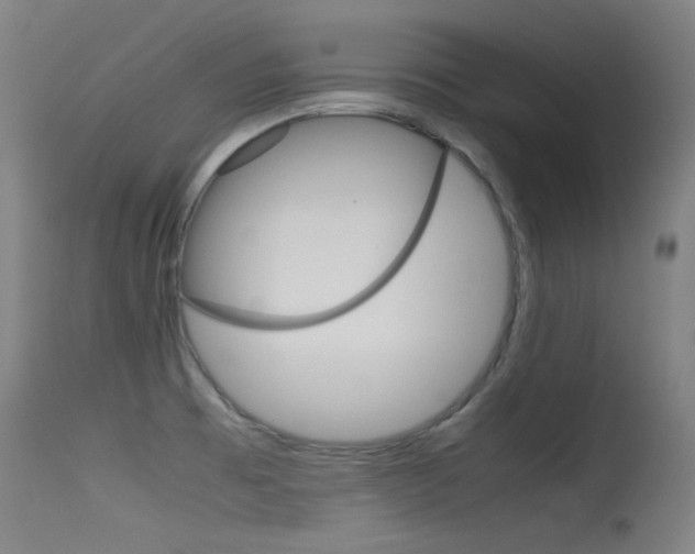 X0000115621473200911101045