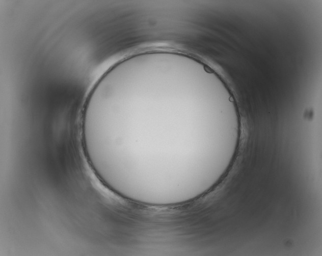 X0000115621474200911101045