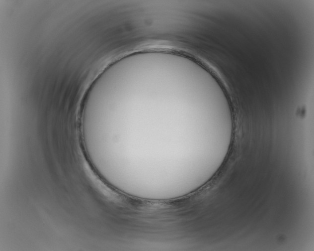 X0000115621475200911101045