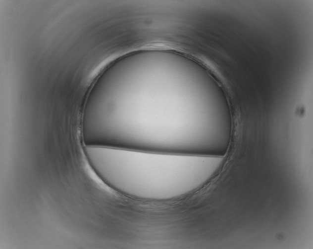 X0000115621476200911101045