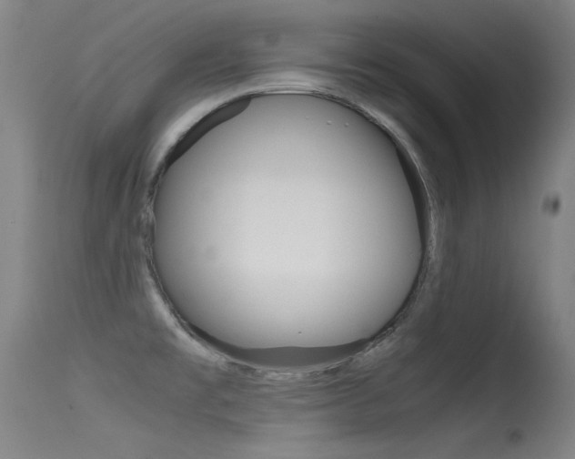X0000115621477200911101045