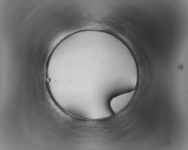 X0000115621479200911101045