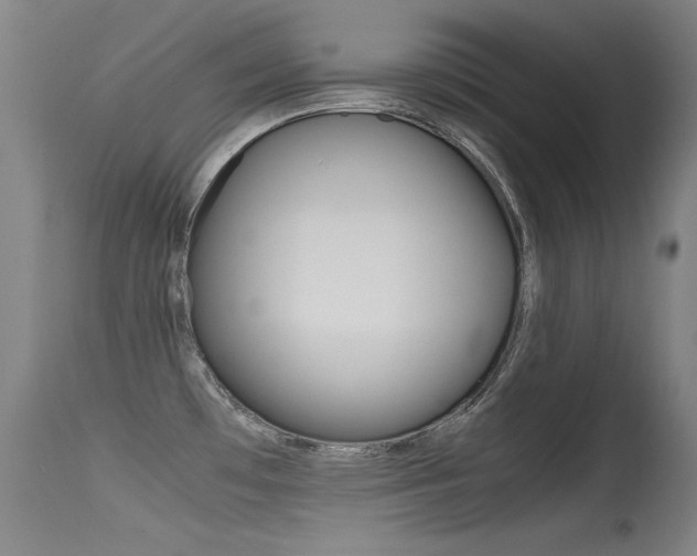 X0000115621481200911101045