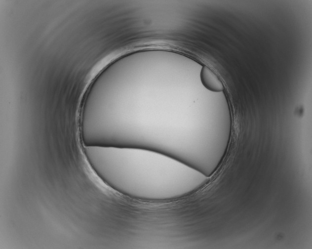 X0000115621482200911101045