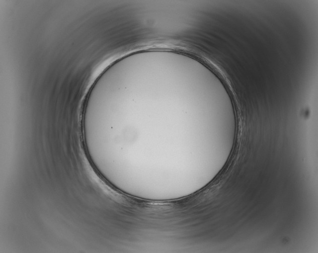 X0000115621483200911101045
