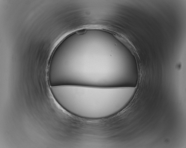X0000115621484200911101045