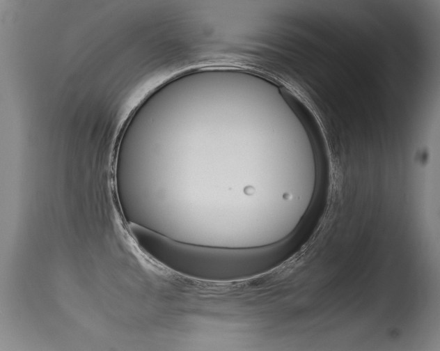 X0000115621485200911101045