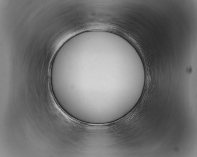 X0000115621487200911101045