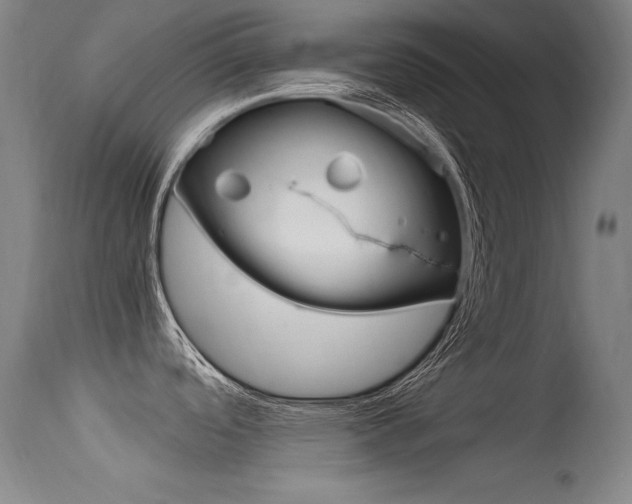 X0000115621488200911101045