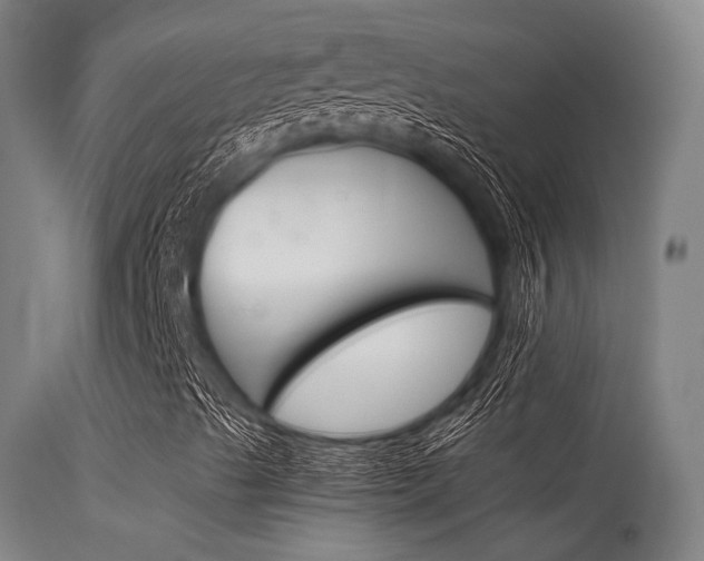 X0000115621489200911101044