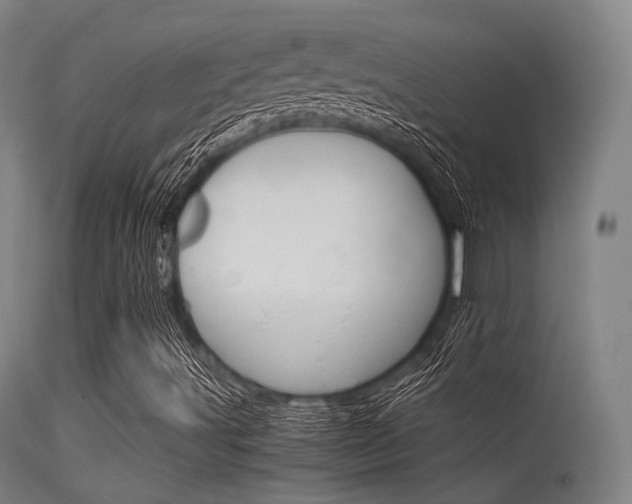X0000115621491200911101044