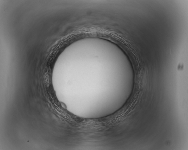 X0000115621493200911101044