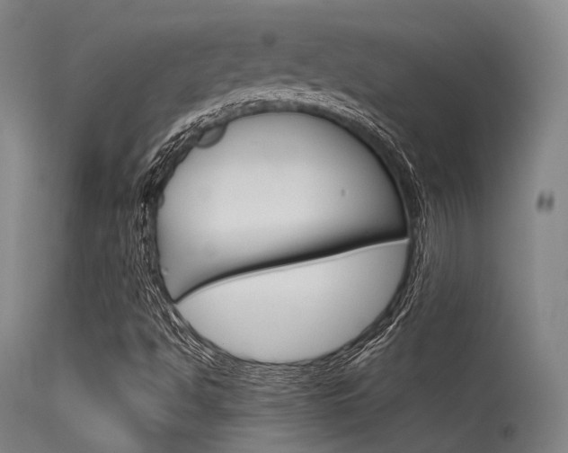 X0000115621494200911101044