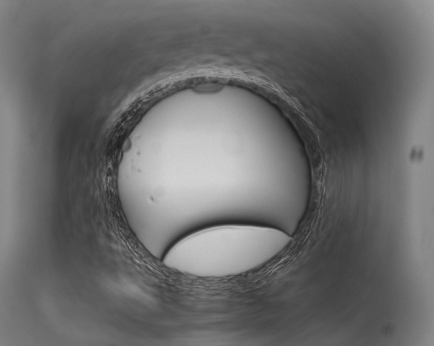 X0000115621495200911101044