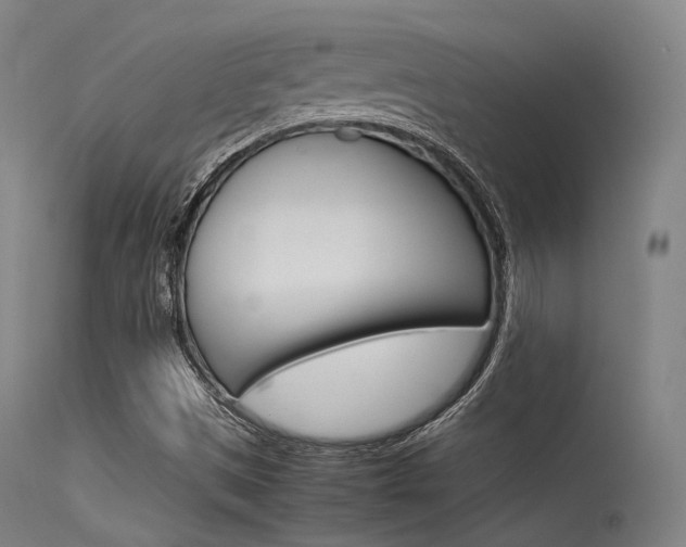 X0000115621497200911101044