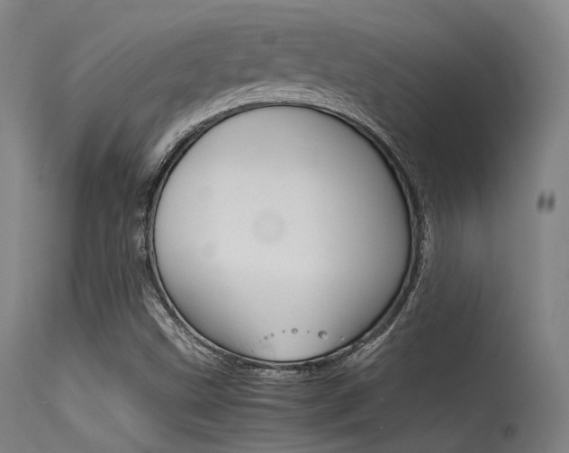 X0000115621499200911101044