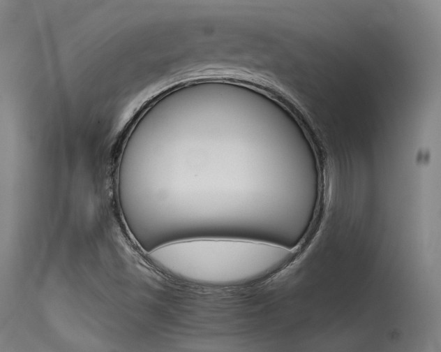 X0000115621501200911101044
