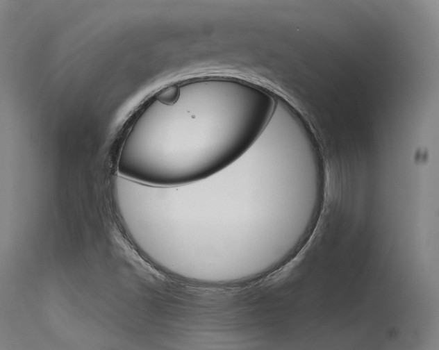 X0000115621502200911101044