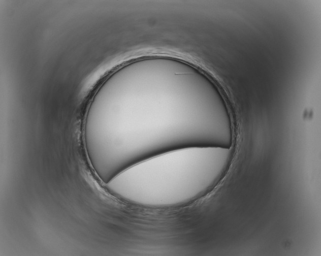 X0000115621503200911101044