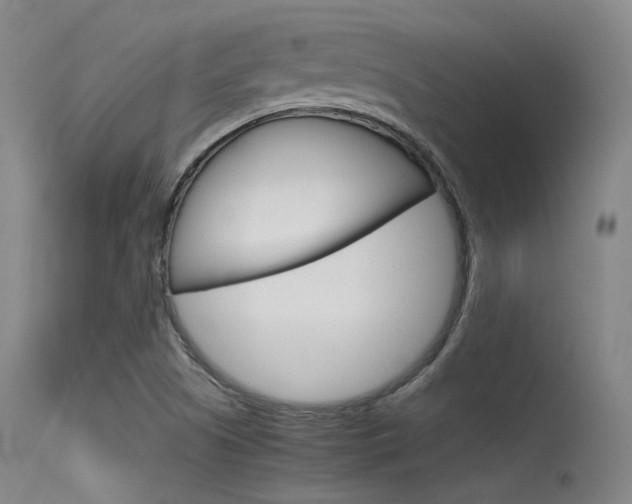 X0000115621505200911101044