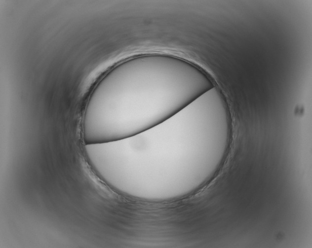 X0000115621507200911101044