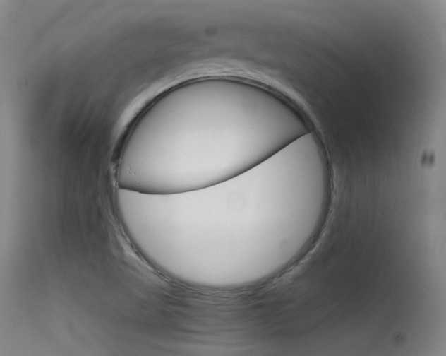 X0000115621509200911101044