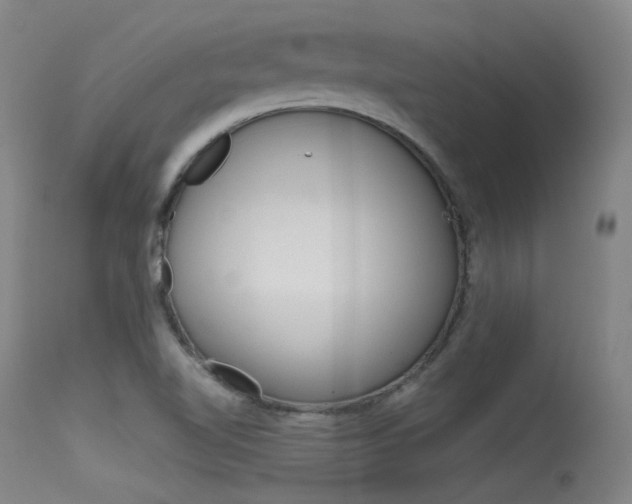 X0000115621510200911101044