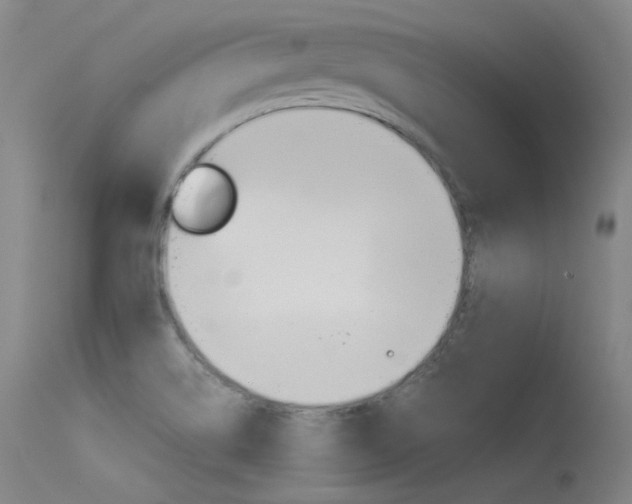 X0000115621514200911101044