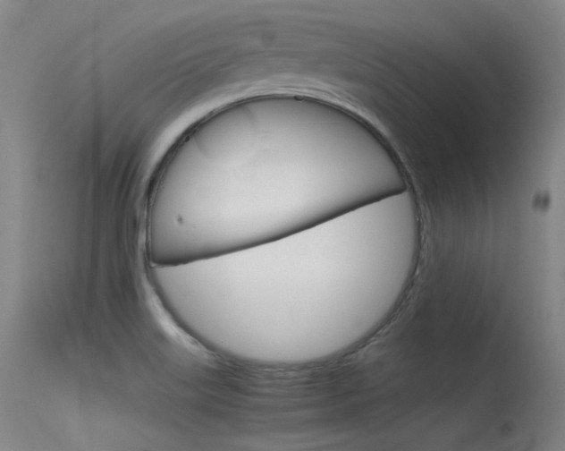 X0000115621515200911101044