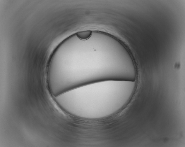 X0000115621517200911101044