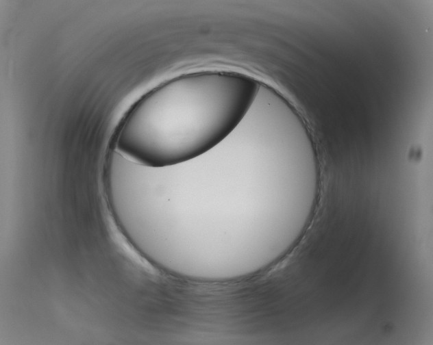 X0000115621518200911101044